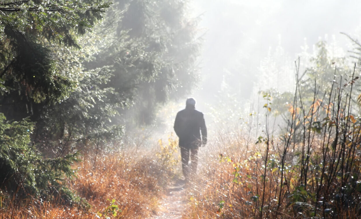 man walks on forest path in fog